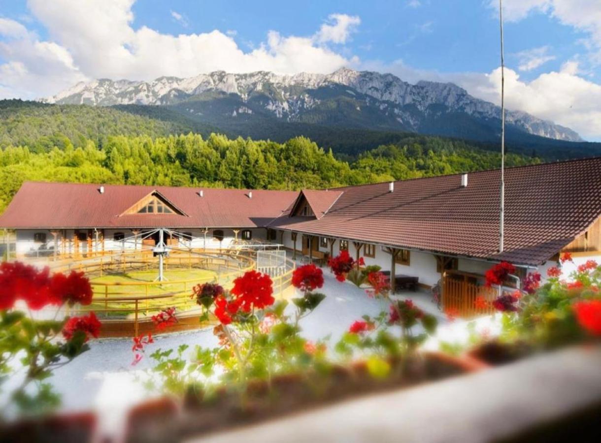 Popasul Craiului Villa Zărneşti Exterior foto