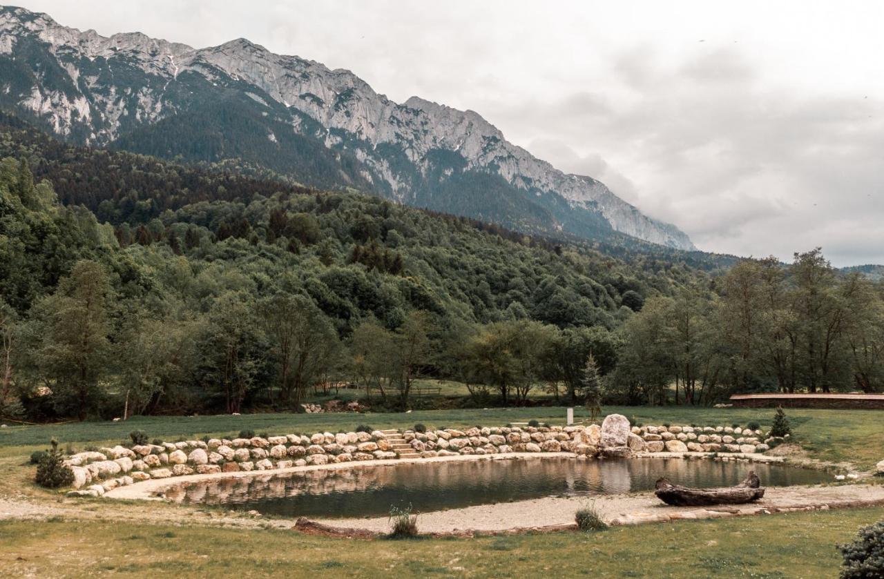 Popasul Craiului Villa Zărneşti Exterior foto