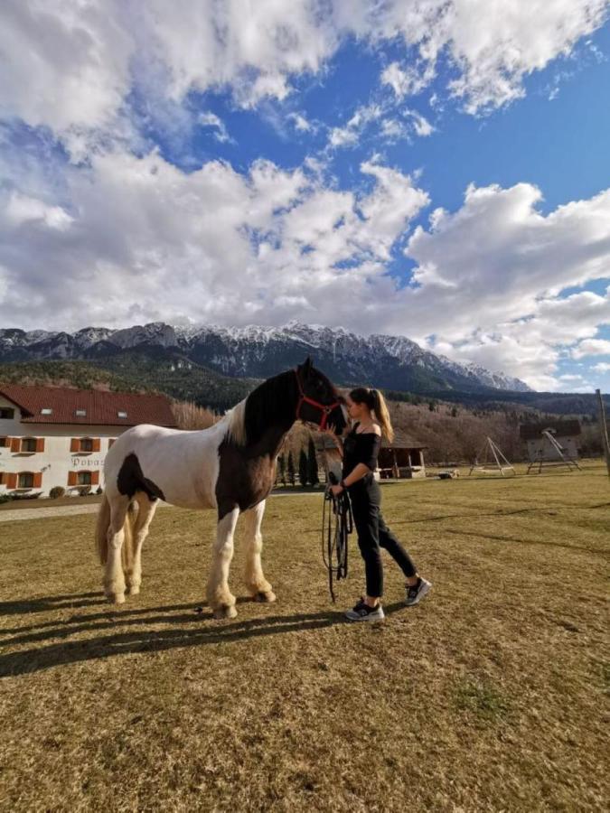 Popasul Craiului Villa Zărneşti Exterior foto